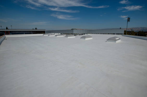 Best Roof Insulation Installation  in Watford City, ND