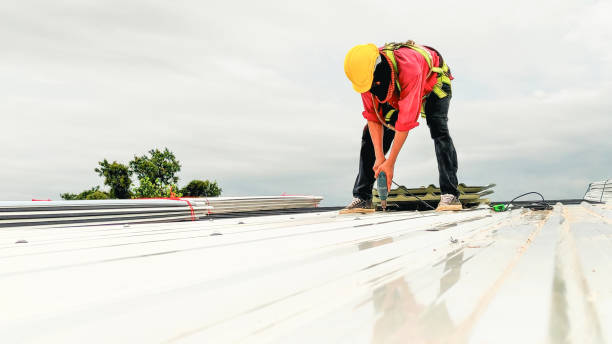 Best Roof Coating and Sealing  in Watford City, ND